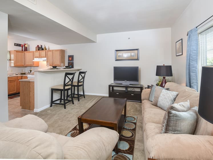 Living Room and Kitchen Open Floor Plan